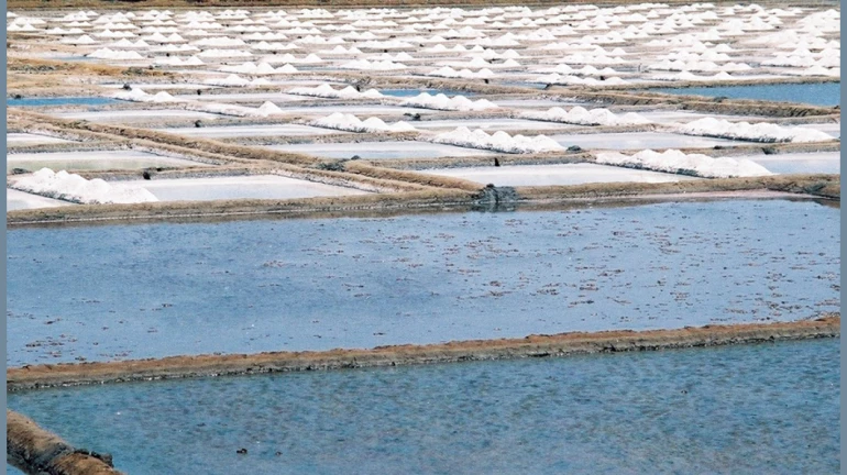 HC terminates lease of salt pan land at 782 acres in Mulund, Bhandup, Kanjurmarg HC terminates lease of salt pan land at 782 acres in Mulund, Bhandup, Kanjurmarg