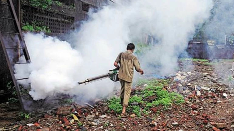 महापालिकेचा किटकनाशक विभाग डेंग्यूसाठी रविवारीही करणार काम