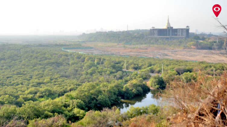 गोराई में 88 एकड़ मैंग्रोज का कत्ल