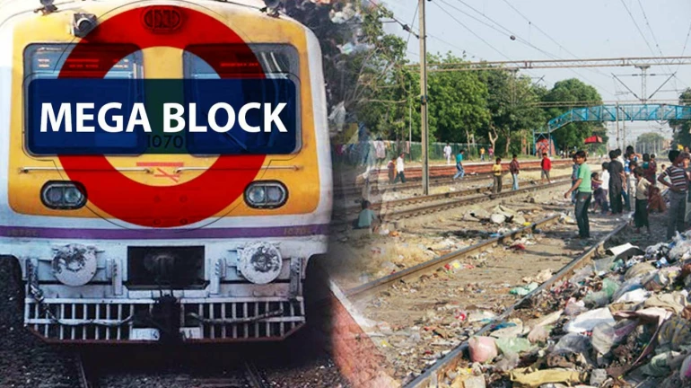 Garbage on the tracks could build a 30-storey building! CR calls for a megablock to deal with it 