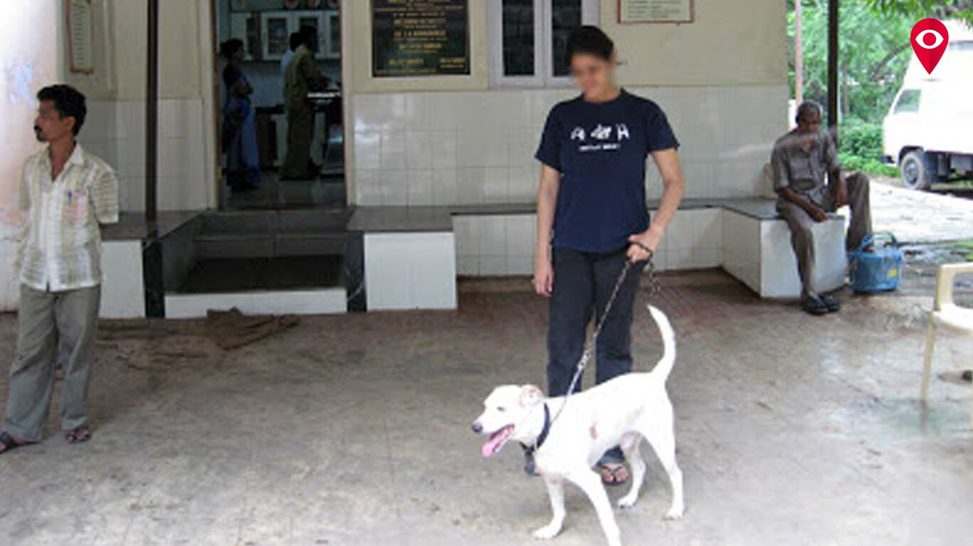 parel hospital for dogs