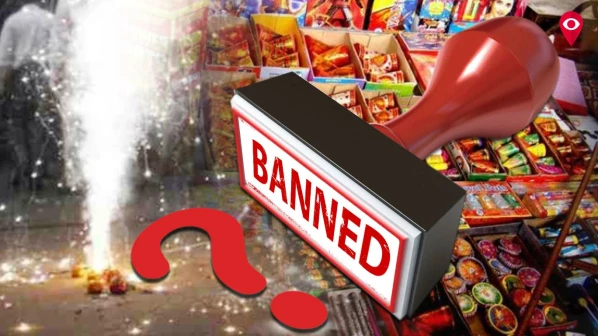 दिल्लीपाठोपाठ राज्यातही फटाकेबंदी?