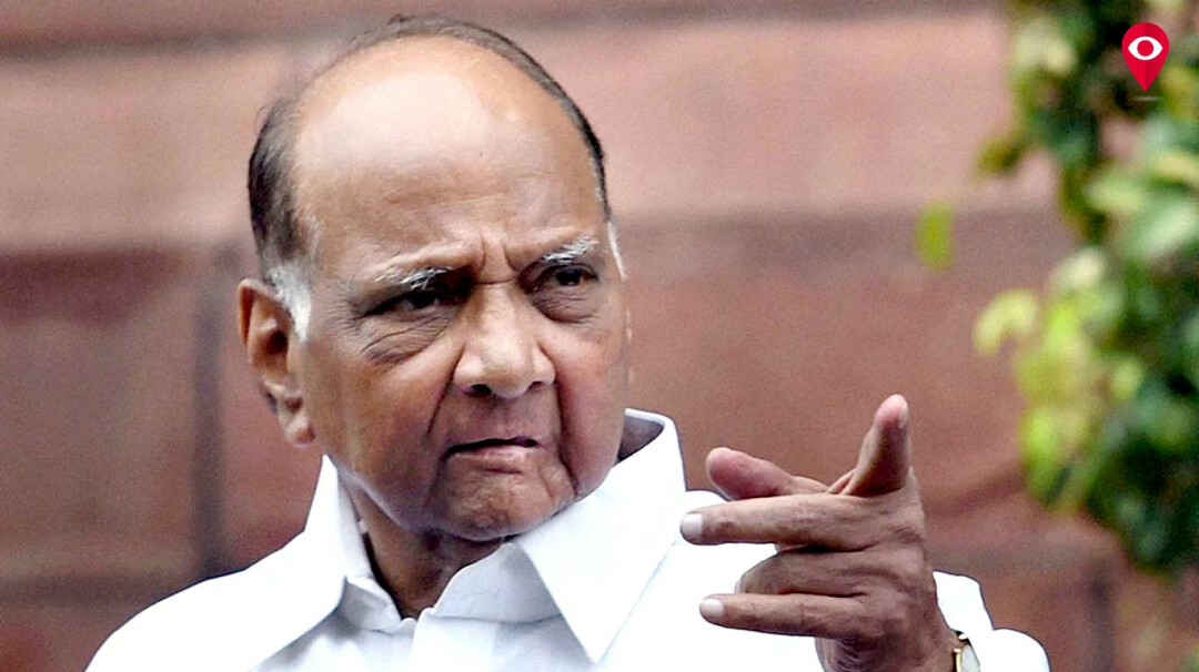 What's cooking between BJP and NCP? | Mumbai Live | Mumbai ...