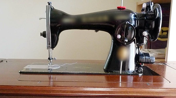 'हे' पैसे थेट महिलांच्या खात्यात, स्थायी समितीचा विरोध