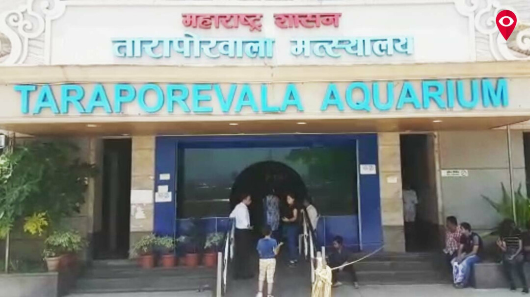 Mumbai's aquarium as filthy as the sea? Mumbai Live Mumbai Live