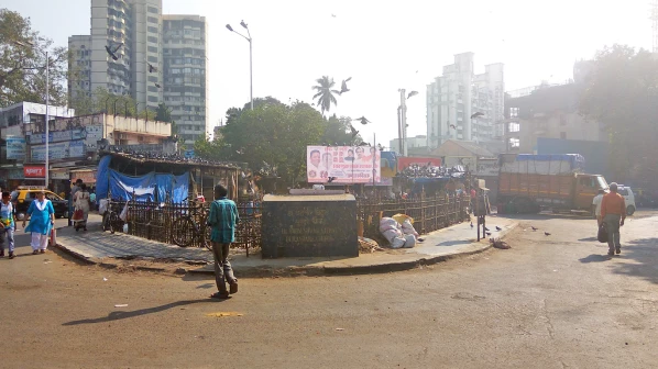 'मुंबई लाइव्ह' इम्पॅक्ट - अखेर कबुतर खाना झाला स्वच्छ!