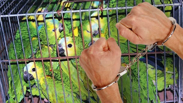 अन् बीएसएफ हवालदाराचाच झाला पोपट!