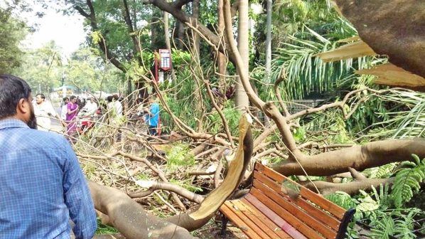 महापालिकेचा हलगर्जीपणा? मृतांच्या नातेवाईकांना मिळणार ५ लाख