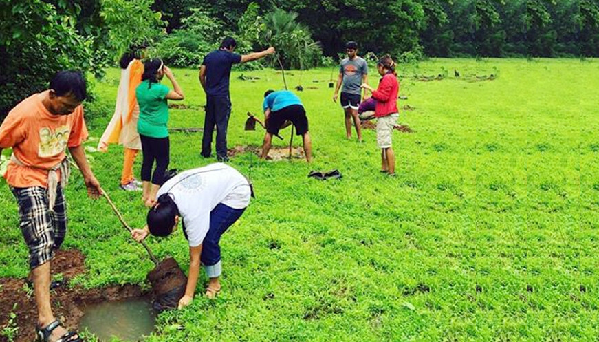 BJP govt claimed it planted 50 cr trees, MHA wants proof