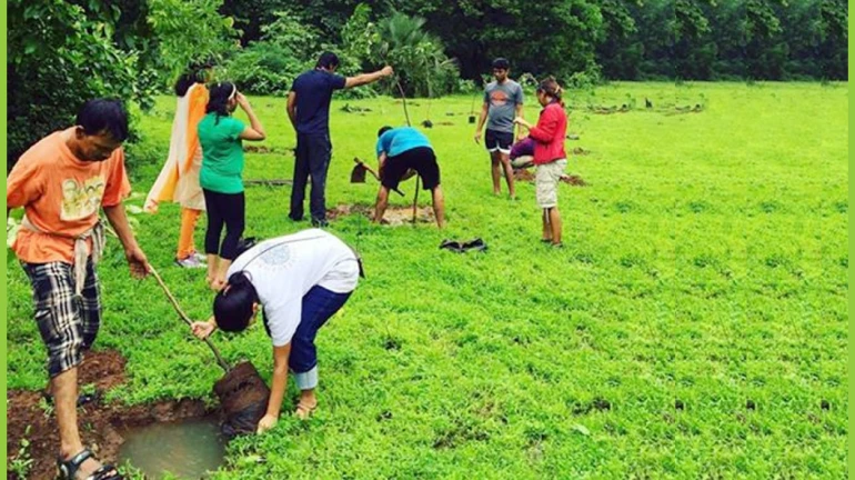 Mumbai’s green cover under danger; witnesses significant decrease in 10 years Mumbai’s green cover under danger; witnesses significant decrease in 10 years