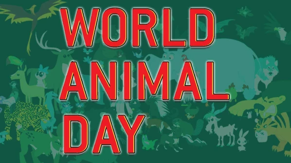 वर्ल्ड अॅनिमल डे - प्राण्यांचे 'हे' व्हिडिओ तुम्ही पहायलाच हवेत!