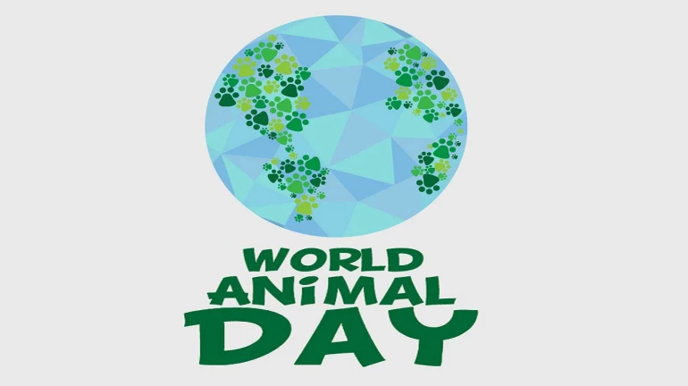 World Animal Day - जानवरो के ये वीडियो कर देगे आपको सोचने पर मजबूर !