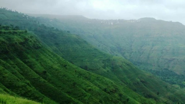 राज्य सरकार ने वन उत्पादन को बेचने के लिए अमेज़ॅन से मिलाया हाथ !