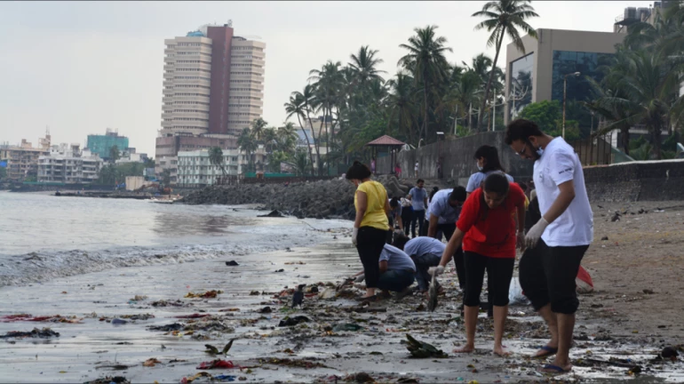 Ganeshotsav 2021: More than 6,000 idols immersed Ganeshotsav 2021: More than 6,000 idols immersed
