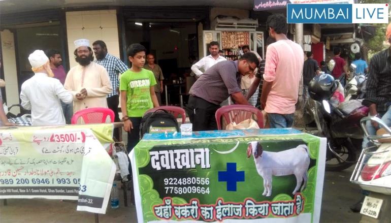 Vet Hospital held ‘Goat Camp’!