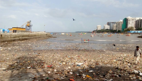 कुलाब्यातील समुद्रकिनारपट्टीवर कचऱ्याचे साम्राज्य