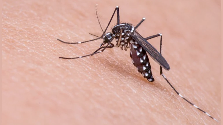 27 Cases Of Malaria detected In Thane In June
