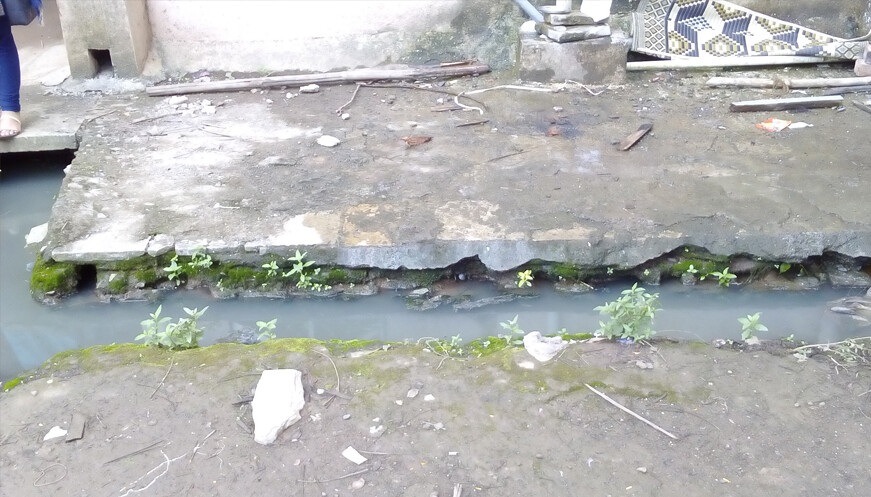 Mumbai Logs Over 2 Lakh Mosquito Breeding Spots