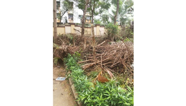 दिंडोशीत डासांचा वाढता प्रभाव