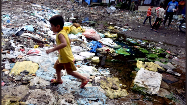 मुंबईकरांनो, सावधान! डेंग्यूची सर्वाधिक रुग्णसंख्या मुंबईतच मुंबईकरांनो, सावधान! डेंग्यूची सर्वाधिक रुग्णसंख्या मुंबईतच