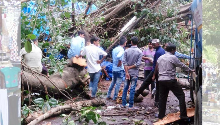 Tree damages 10 shops injure one