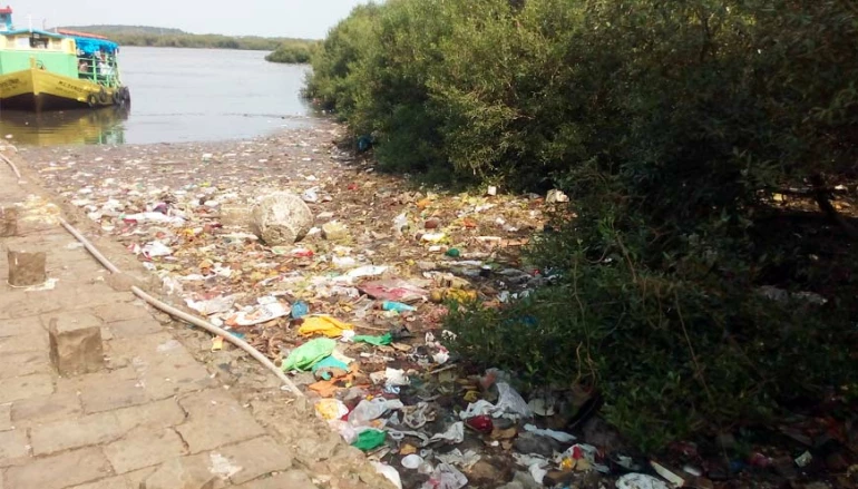 गोराई खाड़ी में कचरे का ढेर