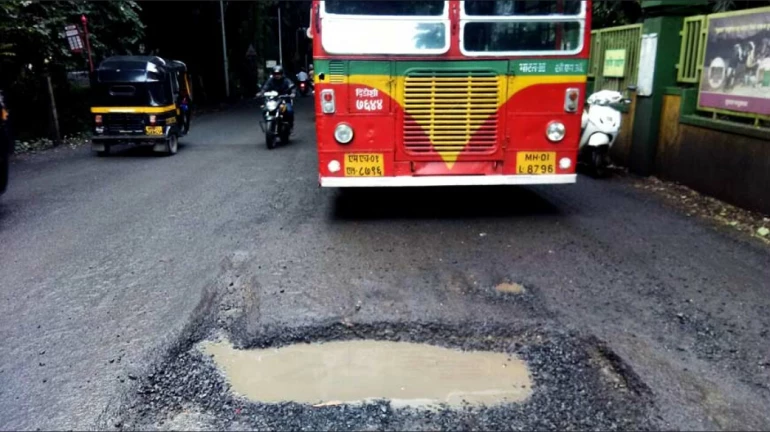 आरेतील रस्त्याचं बांधकाम महापालिकेमार्फतच होणार आरेतील रस्त्याचं बांधकाम महापालिकेमार्फतच होणार