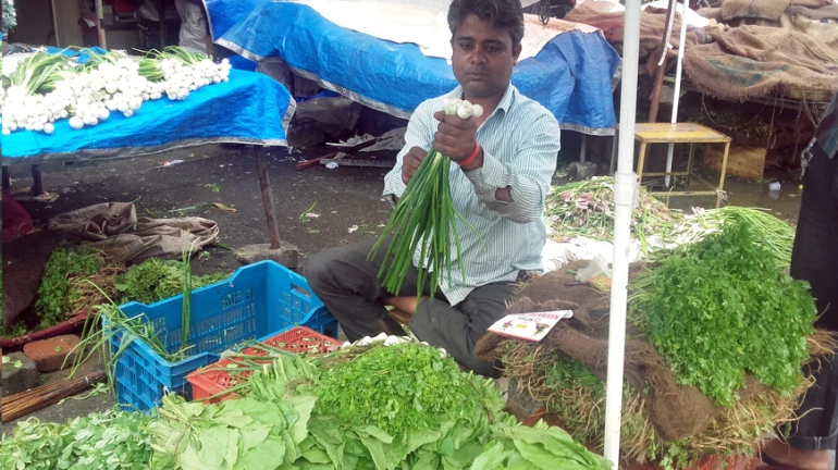सततच्या पावसामुळं भाजीपाला महागला सततच्या पावसामुळं भाजीपाला महागला
