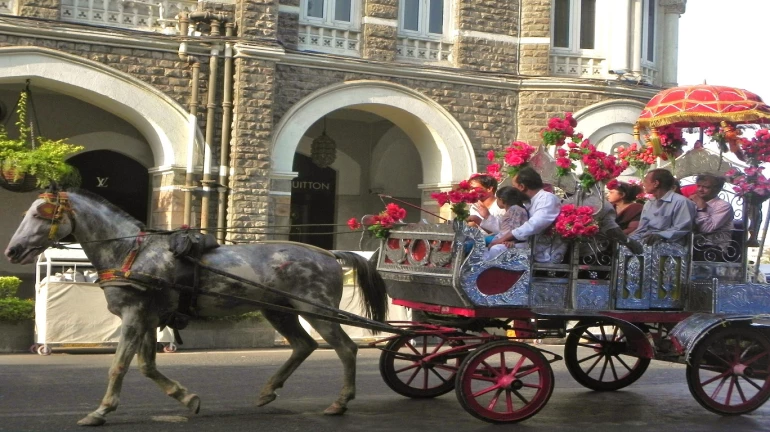 Update: Six-year-old girl dies due to brain damage after falling from a horse 