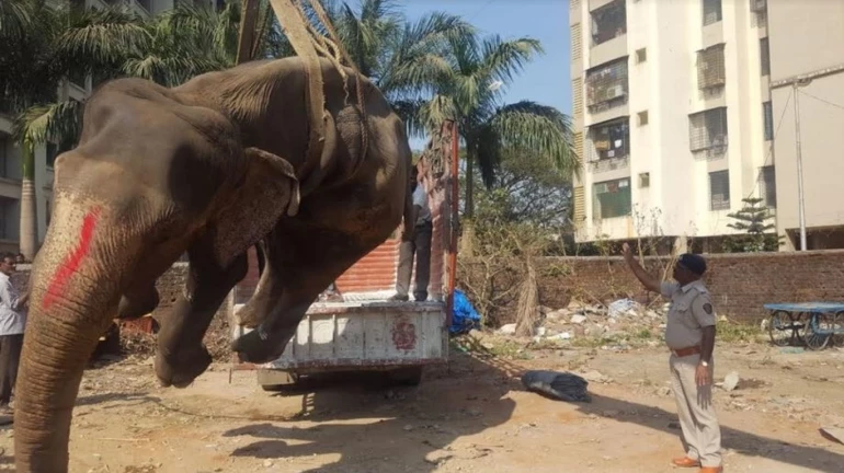 Mumbai’s last privately owned Elephant, Laxmi, dies at owner’s home