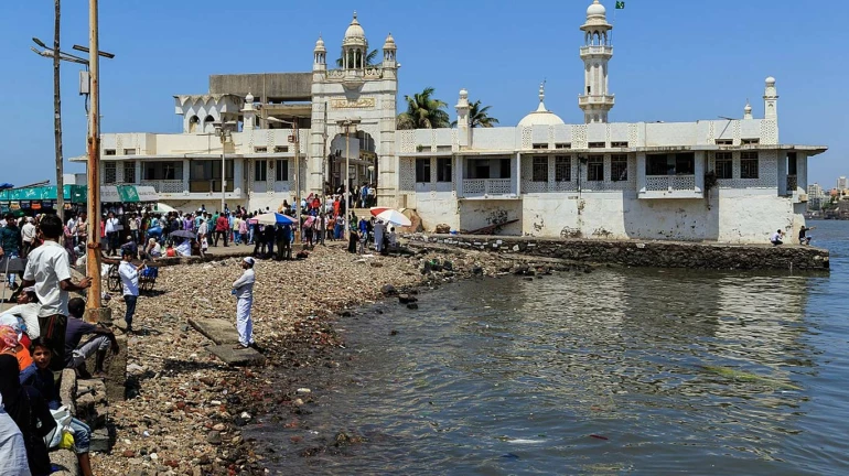 समुद्र प्रदूषित केल्याप्रकरणी हाजी अली ट्रस्टला हरित न्यायाधिकरणाचा दणका, बजावली नोटीस