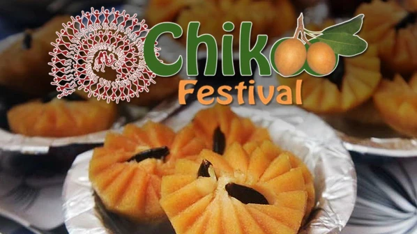 Sixth Annual Chikoo festival - a resounding success