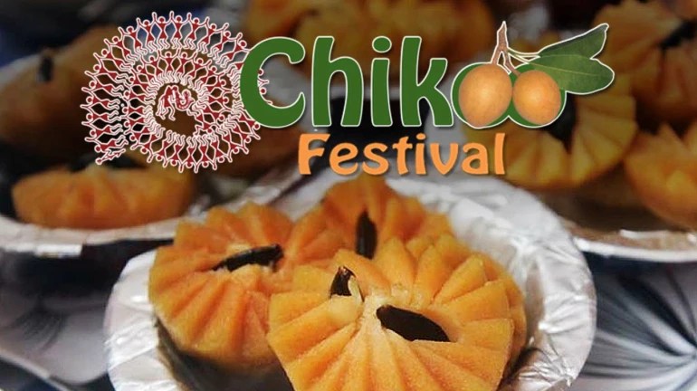 Sixth Annual Chikoo festival - a resounding success