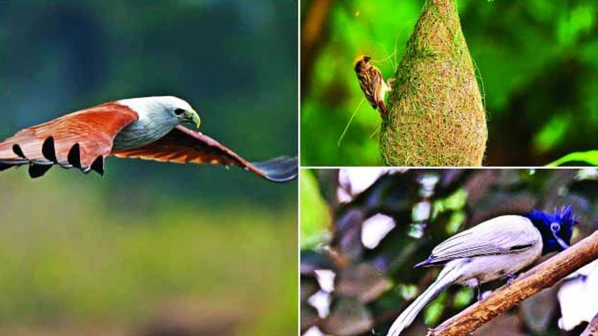 The 14th Annual Mumbai BirdRace is happening this Sunday! 