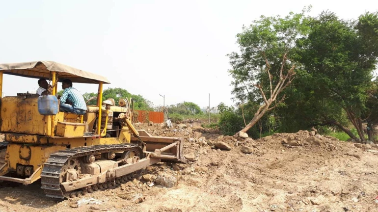 Mumbai Metro 6: HC approves cutting of 34 trees Mumbai Metro 6: HC approves cutting of 34 trees