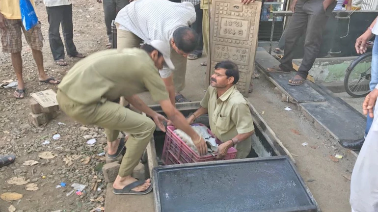 मुंबईकरांनो, तुम्ही गटारातली भाजी खाताय का? शंका असेल तर 'हे' वाचा