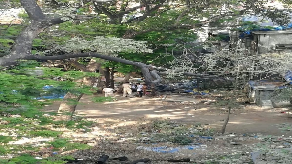 मां ने बेटे को दंडित, दरवाजे पर पहुंची पुलिस 