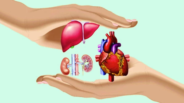 आठ वर्षाच्या मुलीनं दिलं पाच जणांना जीवदान