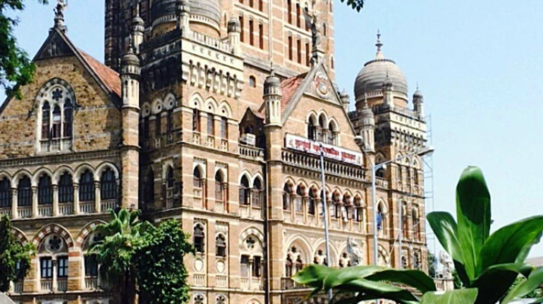BMC Uses Over 15 Lakh Litres Water Daily To Wash Roads Despite Mumbai On Verge Of Scarcity BMC Uses Over 15 Lakh Litres Water Daily To Wash Roads Despite Mumbai On Verge Of Scarcity