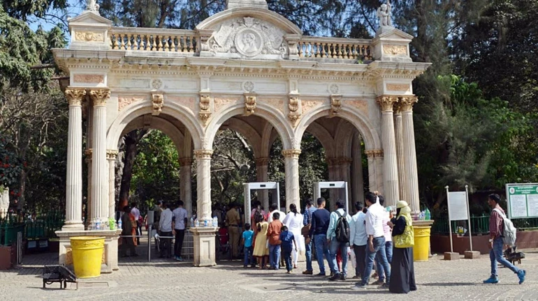 राणी बागेच्या धर्तीवर ठाण्यातही होणार प्राणीसंग्रहालय आणि उद्यान राणी बागेच्या धर्तीवर ठाण्यातही होणार प्राणीसंग्रहालय आणि उद्यान