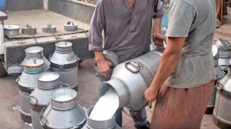 Mumbai: FDA conducts raids at three entrances; 1.50 lakh liters of milk inspected and 108 samples taken for testing Mumbai: FDA conducts raids at three entrances; 1.50 lakh liters of milk inspected and 108 samples taken for testing