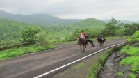 1000 गावात वन्यजीवांच्या हालचालींसाठी AI प्रणाली उभारणार 1000 गावात वन्यजीवांच्या हालचालींसाठी AI प्रणाली उभारणार