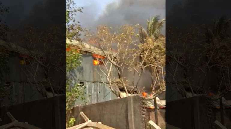 गोवंडी के एक गोदाम में लगी आग, कोई हताहत नहीं 