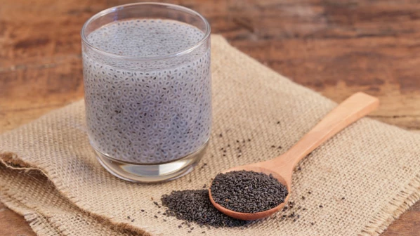 उन्हाळ्यातल्या विकारांपासून दूर राहाण्यासाठी 'सब्जा' घ्याच!