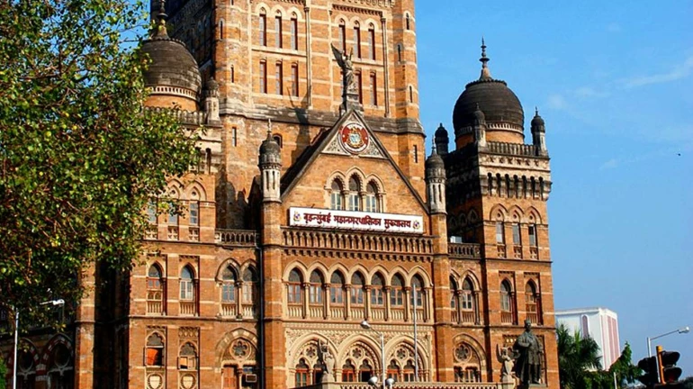 कापडी पिशव्यांसाठी मुंबई महानगरपालिकेला ५ कोटी देणार