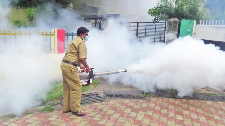 'भाग मच्छर भाग'  डेंगू बीमारी से निपटने के लिए बीएमसी का अनोखा अभियान 'भाग मच्छर भाग'  डेंगू बीमारी से निपटने के लिए बीएमसी का अनोखा अभियान