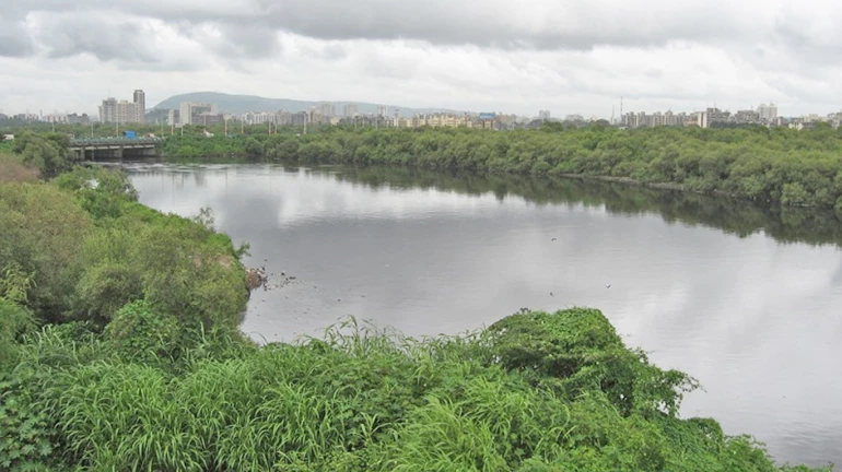 Mumbai Rains: Mithi river flowing above the danger mark Mumbai Rains: Mithi river flowing above the danger mark