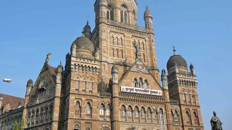 BMC will issue the 'Health Department License' for five years