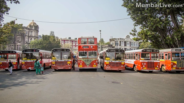 डॉ. आंबेडकर जयंतीनिमित्त बेस्टच्या जादा गाड्या