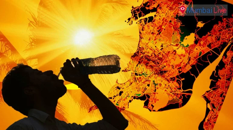 Mumbai Weather Update: City records hottest day at 39.2 degrees Celsius Mumbai Weather Update: City records hottest day at 39.2 degrees Celsius